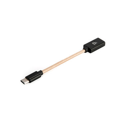 iFi Câble OTG USB-A vers USB-C