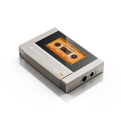 FiiO Snowsky ECHO MINI (512MB) Titanium Portabler Hi-Res Musik-Player
